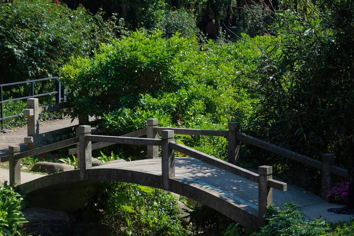 small garden bridge ideas shown with a weathered cedar plank crossing a shallow ornamental dry creek bed surrounded by ferns and moss