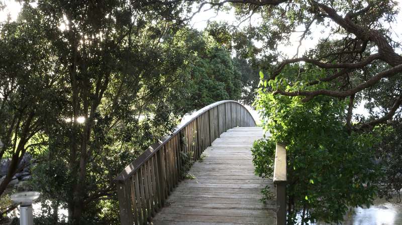 Close-up of a handcrafted cedar garden bridge with clean lines and soft moss growing along its edges