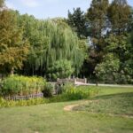 Small Garden Bridge Ideas: 7 Proven Ways to Add Charm Without Costly Mistakes