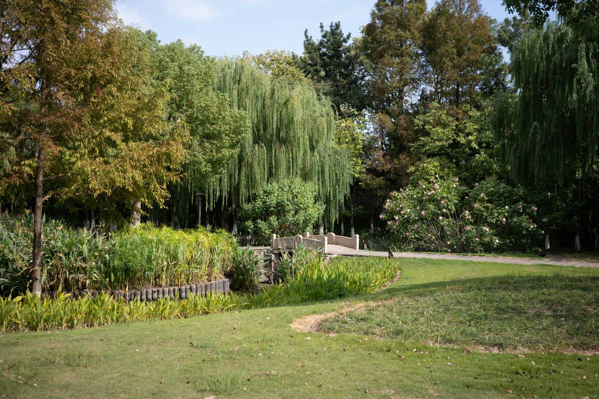Small Garden Bridge Ideas: 7 Proven Ways to Add Charm Without Costly Mistakes